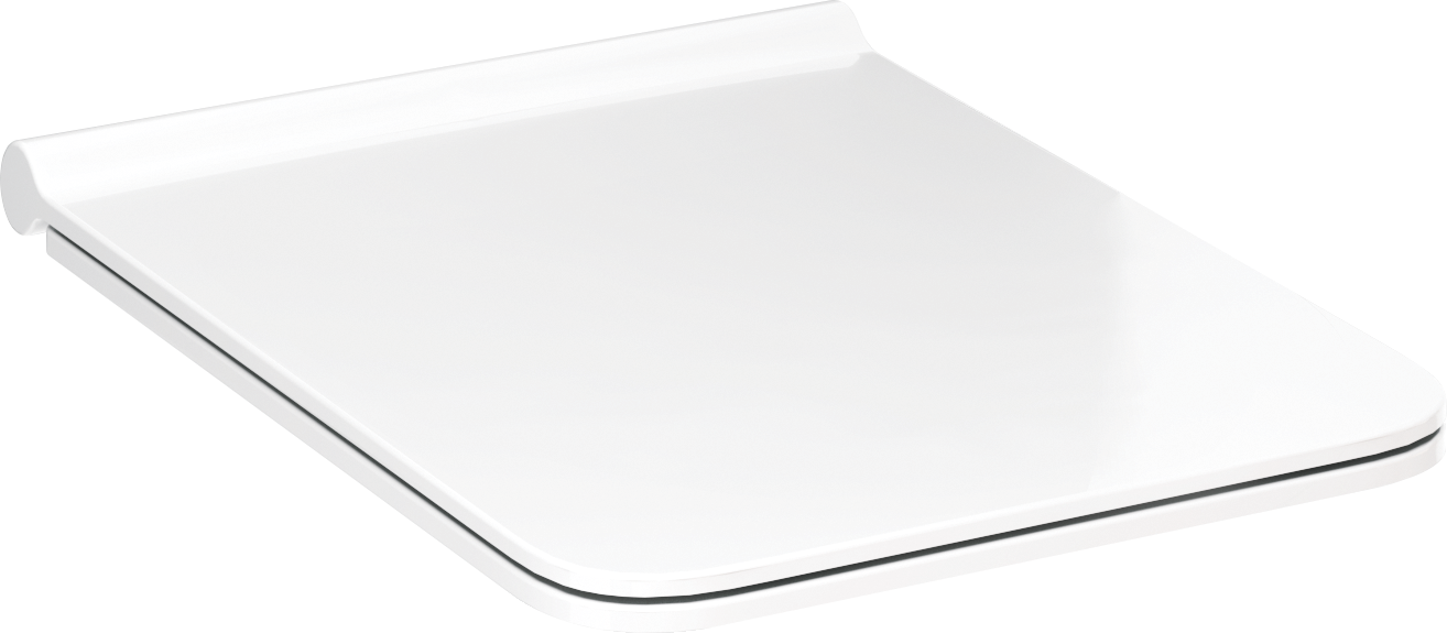 WC seat and cover sandwich and removable with SoftClose