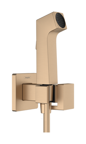 hansgrohe Porter sets: Bidette hand shower 1jet E EcoSmart for cold ...