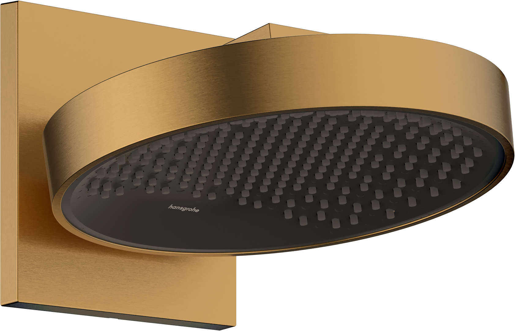 Overhead shower 250 1jet EcoSmart with wall connector