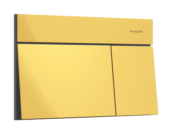 Betätigungsplatte für 2-Mengen-Spülung