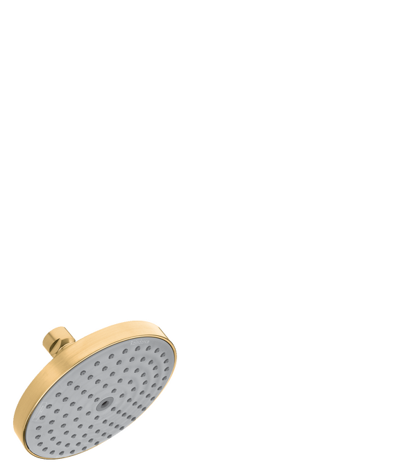Showerhead 150 1-Jet