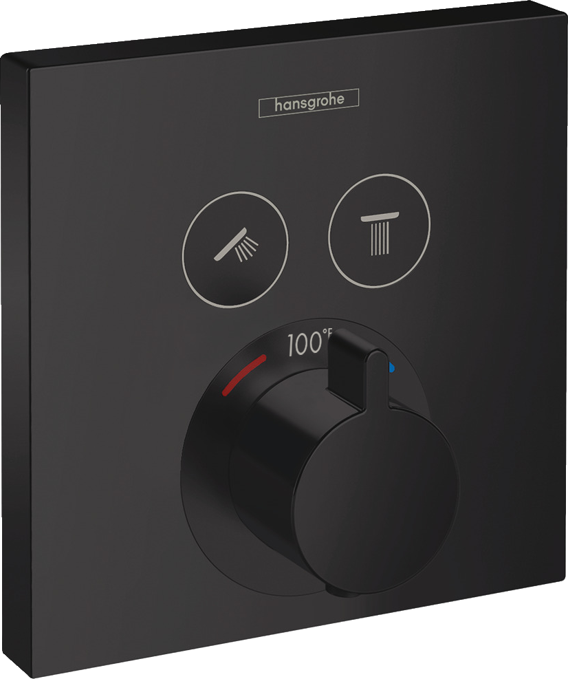 Thermostatic Trim for 2 Functions