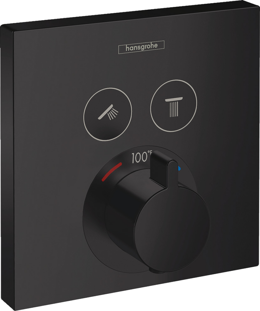 Thermostatic Trim for 2 Functions