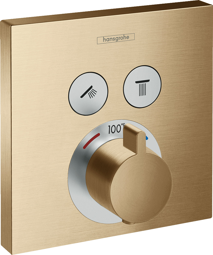 Thermostatic Trim for 2 Functions