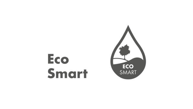 EcoSmart